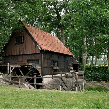 Uelsen-hasewinkel *